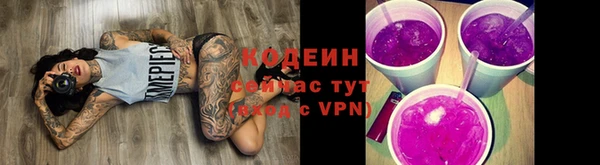 не бодяженный Арсеньев
