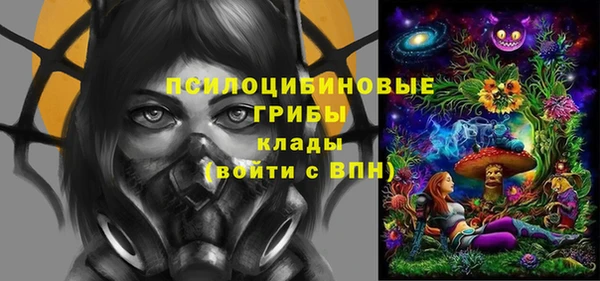 не бодяженный Арсеньев