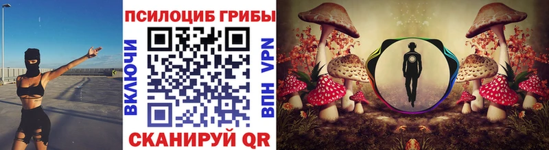 Псилоцибиновые грибы Cubensis  Купить  Яблоновский 
